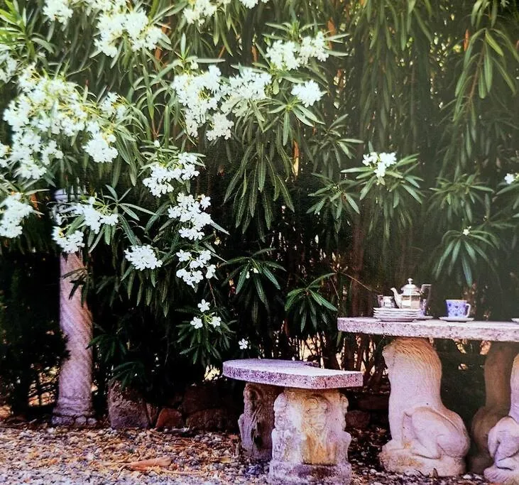 Royal Worthy Luxury Estate The Crown Filming Set Villa Tarifa Spain
